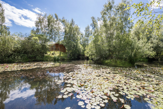 VIEW LOOKING AT TEAL LODGE FROM ALDER POND