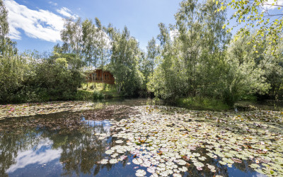 VIEW LOOKING AT TEAL LODGE FROM ALDER POND